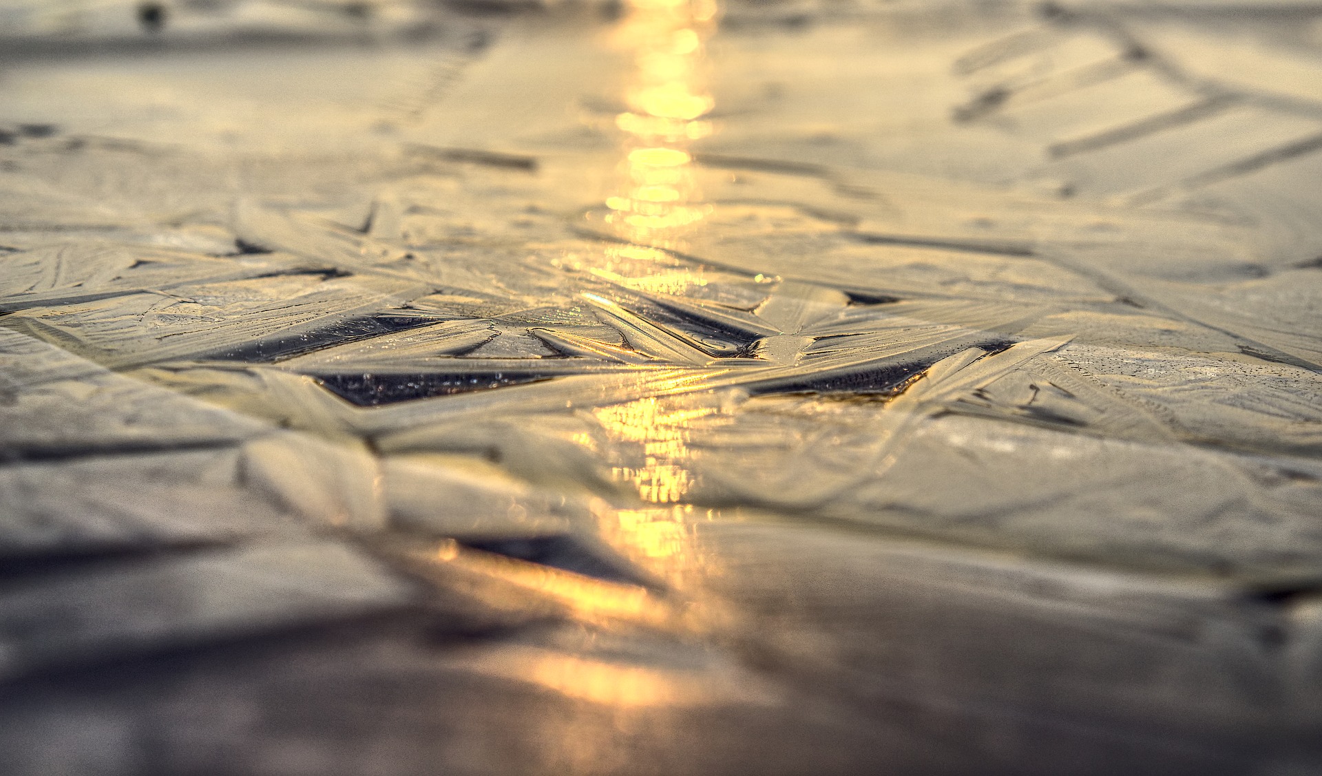 Read more about the article Breaking Light
