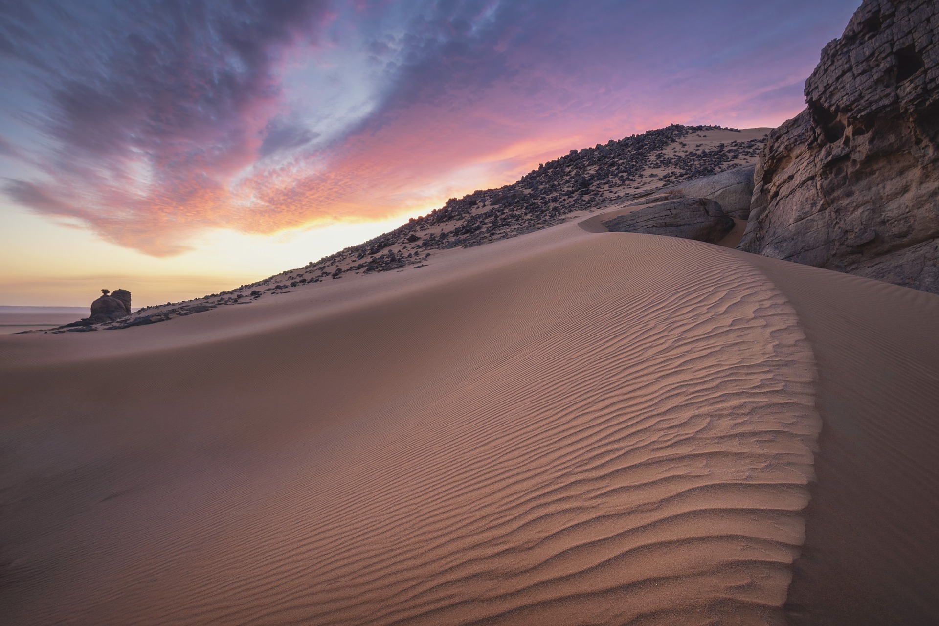 Read more about the article Voice in the Wilderness
