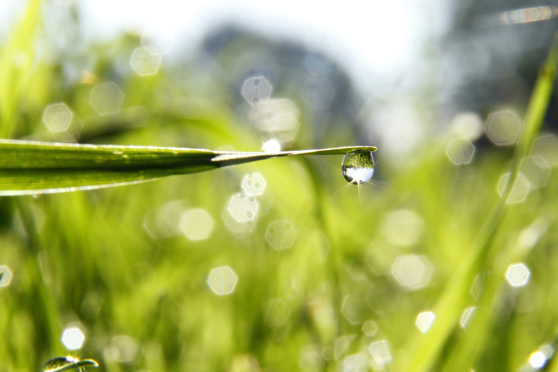 Read more about the article Gentle Accountability