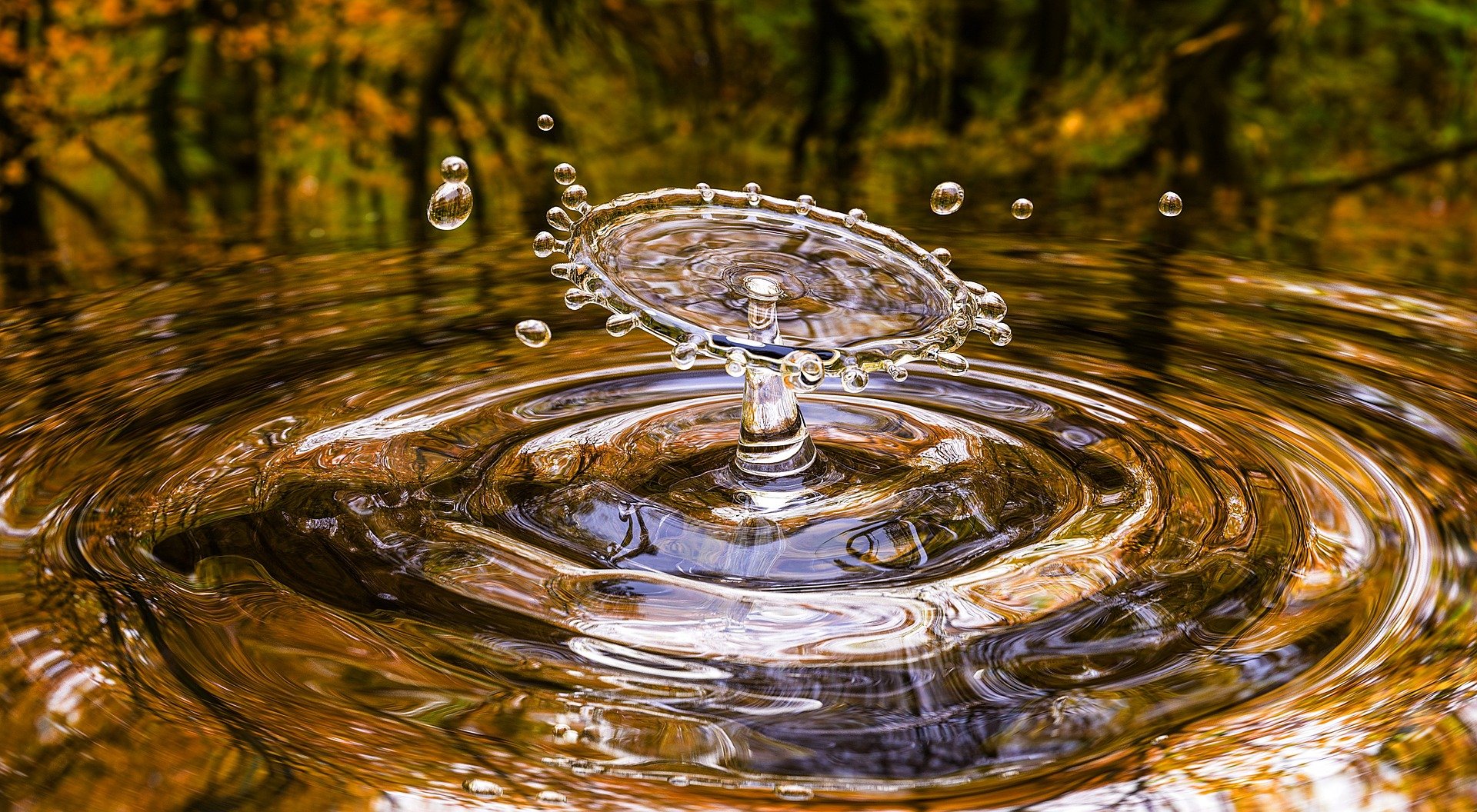 Read more about the article Come to the Waters