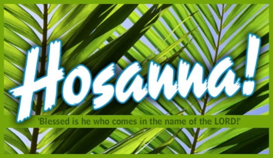 Read more about the article Hosanna!