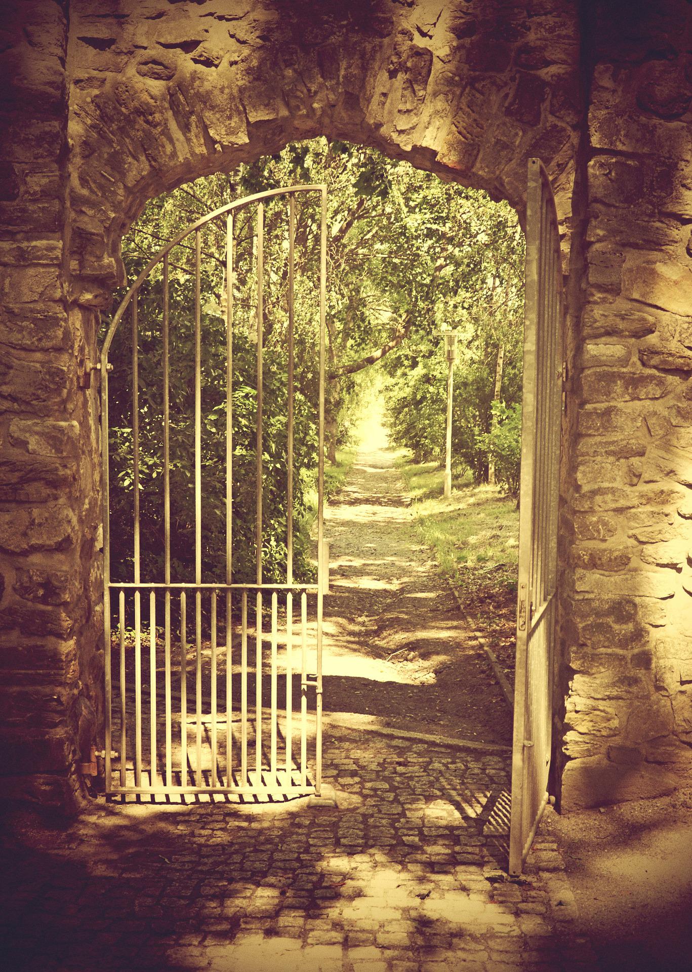 Read more about the article The Open Gate