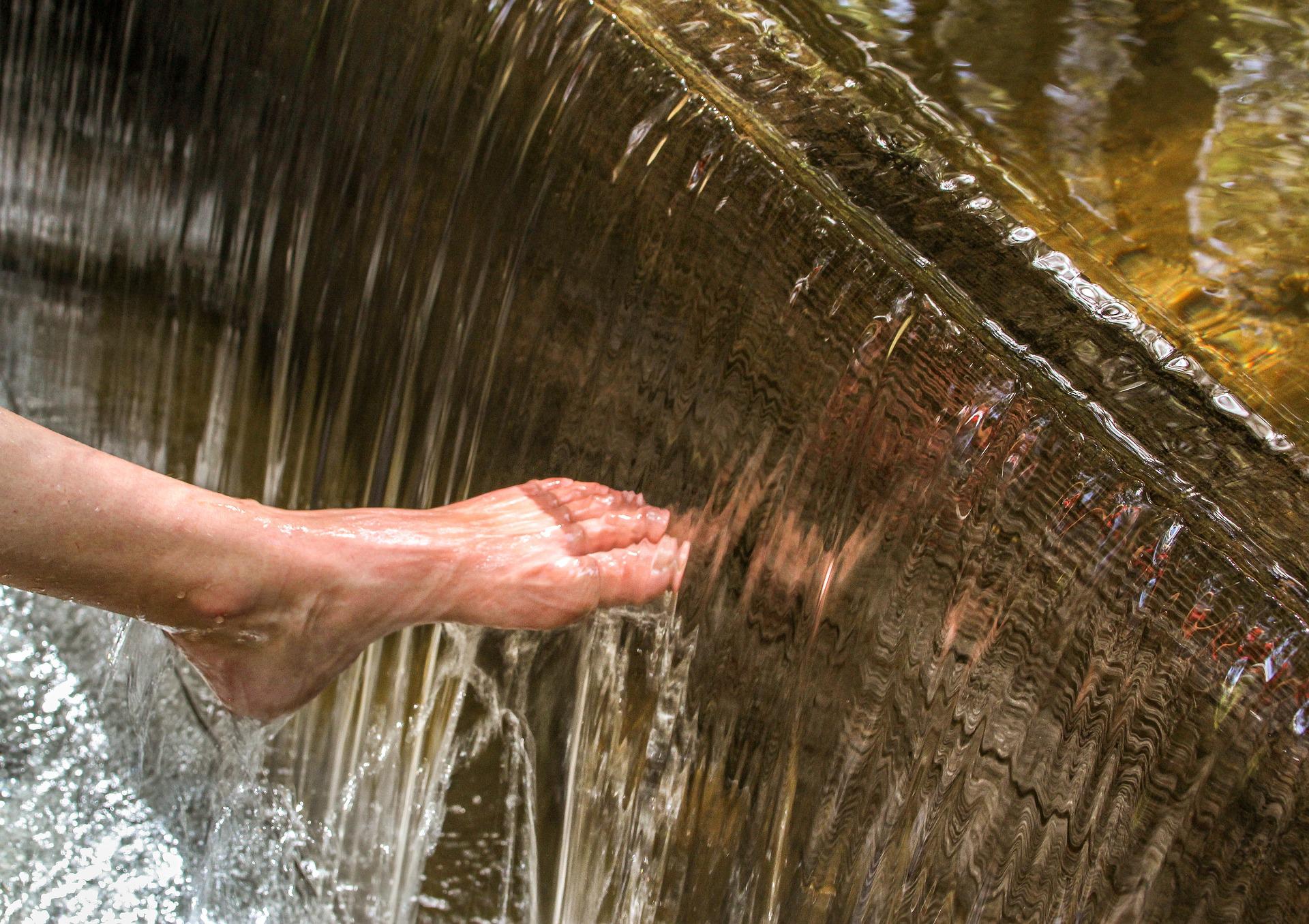 Read more about the article Sacrifice of Praise