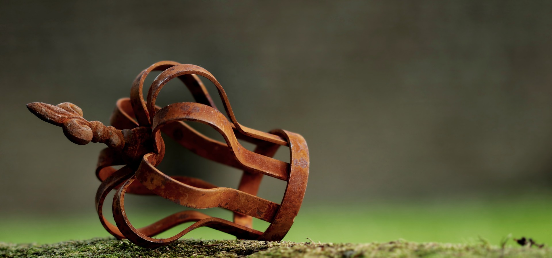 Read more about the article Reign of Righteousness