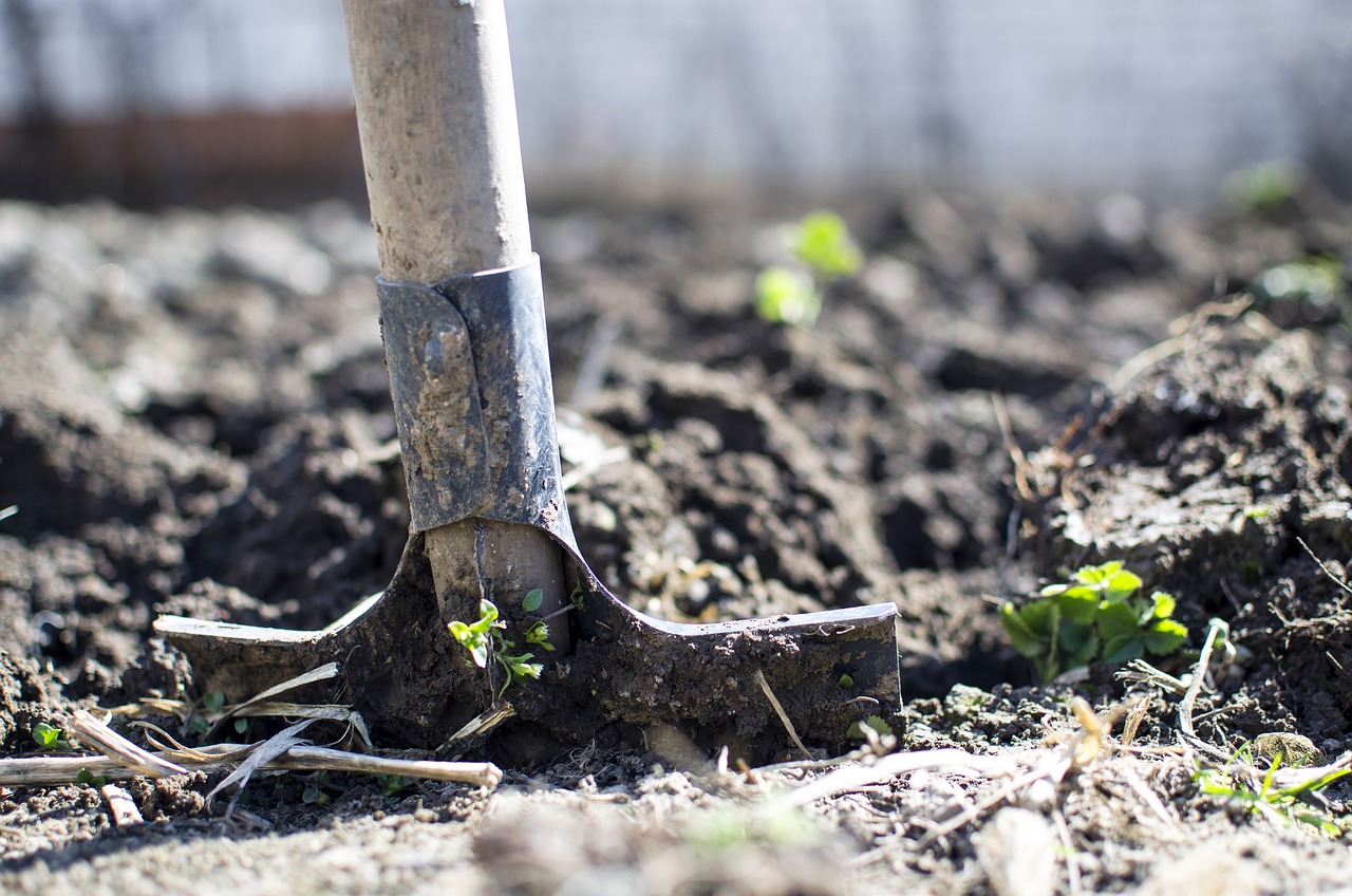 Read more about the article Burying the Gift