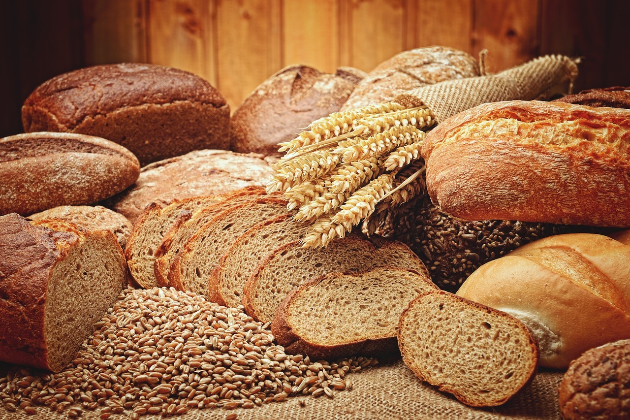 Read more about the article Bread of Life