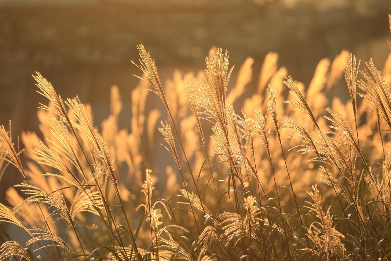 Read more about the article Are You the One?